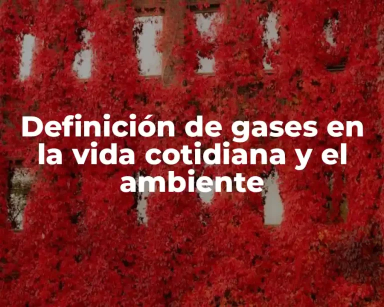 Definición de gases en la vida cotidiana y el ambiente