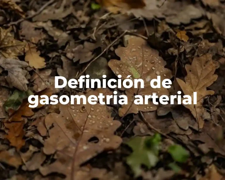 Definición de gasometria arterial