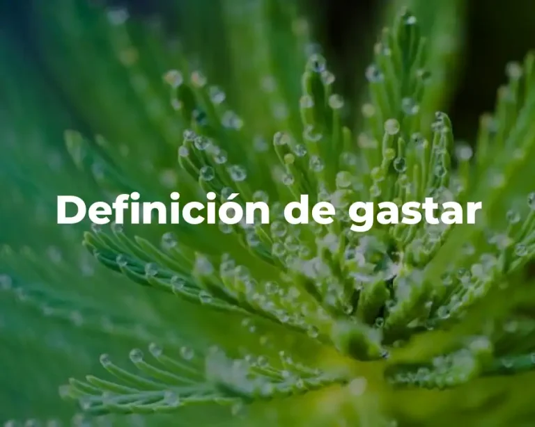 Definición de gastar