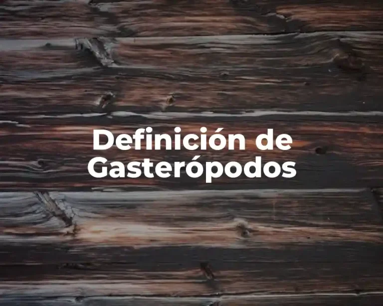 Definición de Gasterópodos