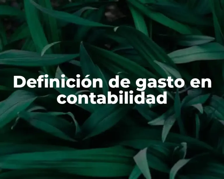 Definición de gasto en contabilidad