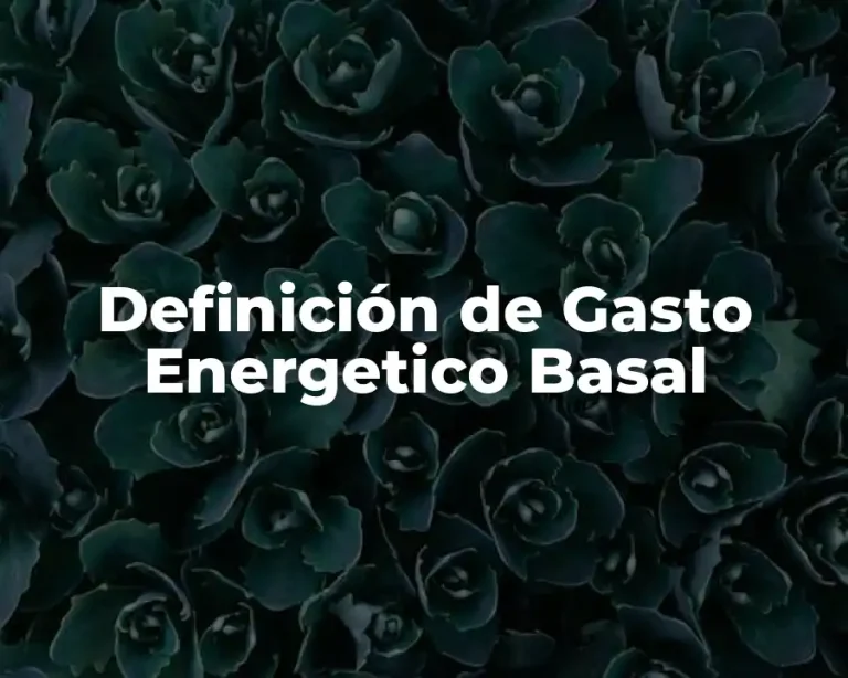 Definición de Gasto Energetico Basal