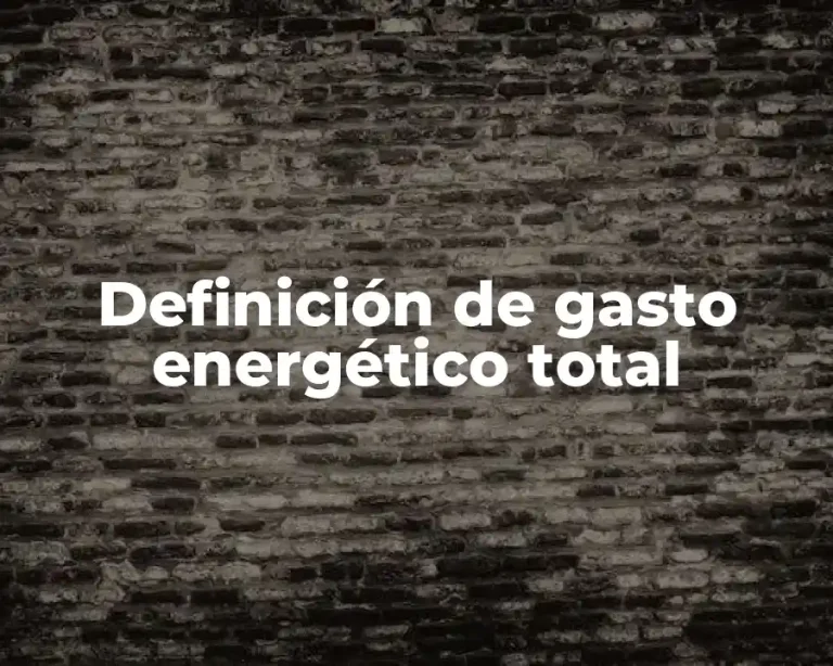 Definición de gasto energético total