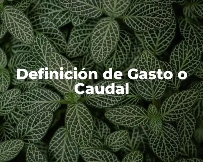 Definición de Gasto o Caudal