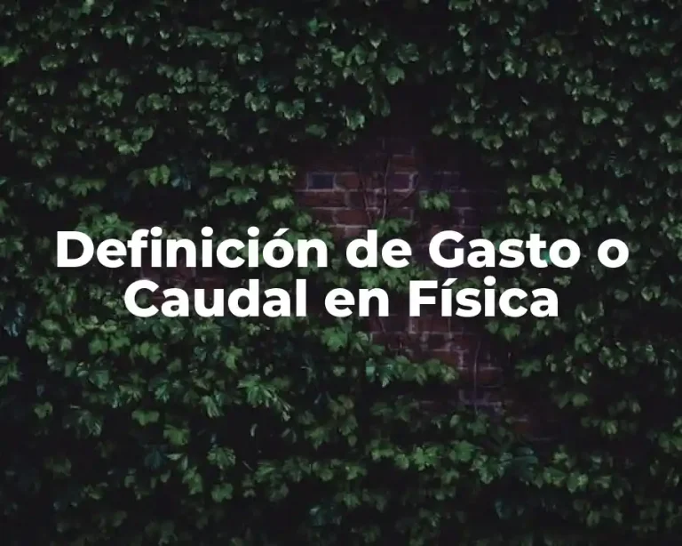 Definición de Gasto o Caudal en Física
