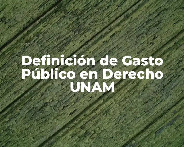 Definición de Gasto Público en Derecho UNAM