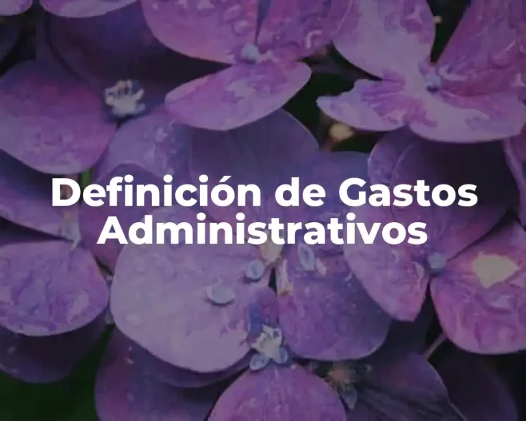 Definición de Gastos Administrativos