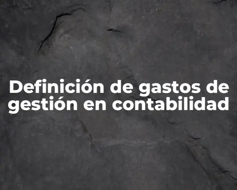 Definición de gastos de gestión en contabilidad
