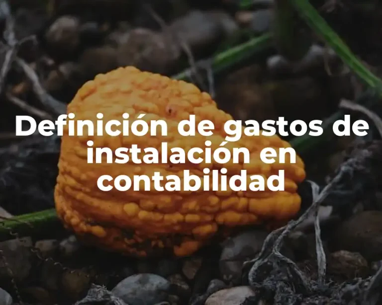 Definición de gastos de instalación en contabilidad