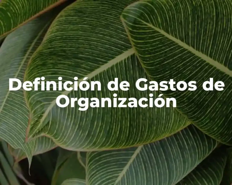 Definición de Gastos de Organización