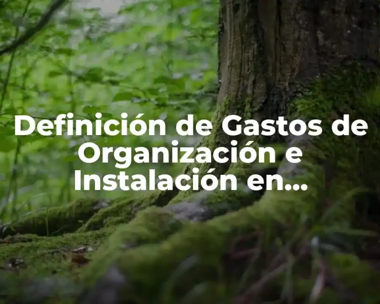 Definición de Gastos de Organización e Instalación en Contabilidad