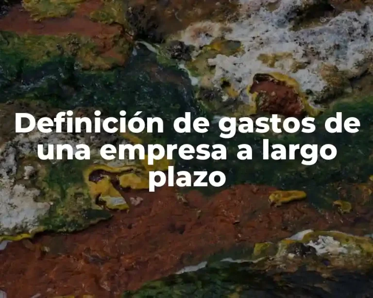 Definición de gastos de una empresa a largo plazo