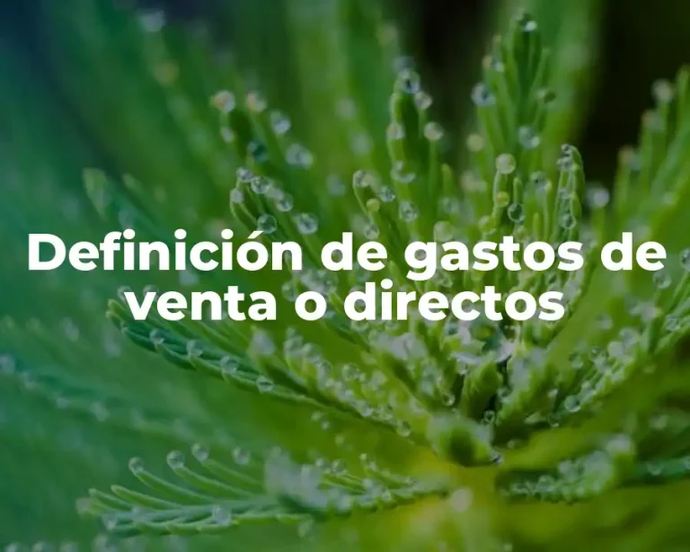 Definición de gastos de venta o directos