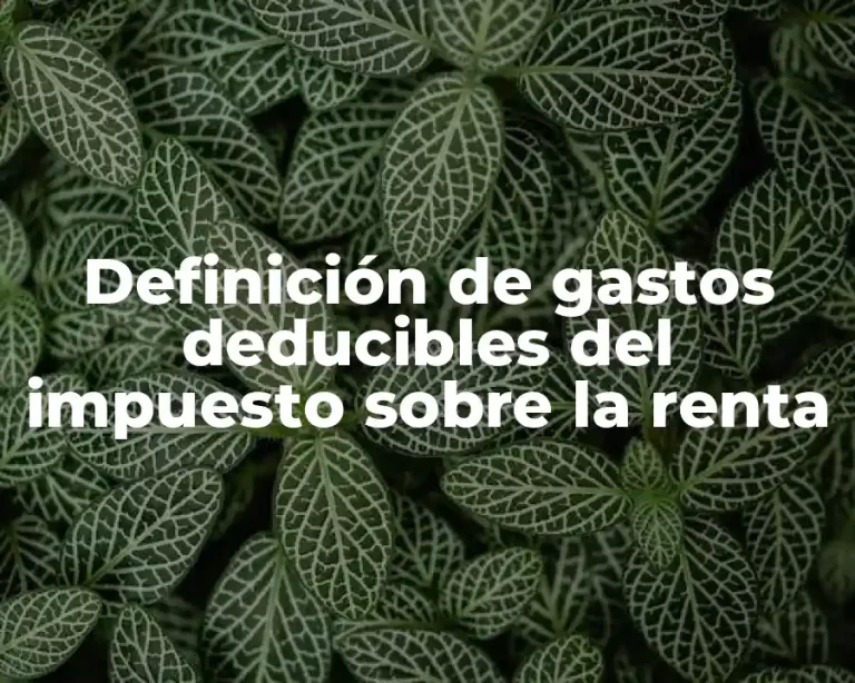 Definición de gastos deducibles del impuesto sobre la renta