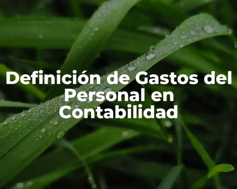 Definición de Gastos del Personal en Contabilidad