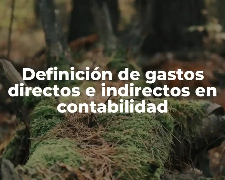 Definición de gastos directos e indirectos en contabilidad