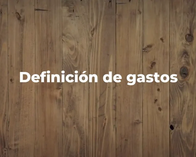 Definición de gastos