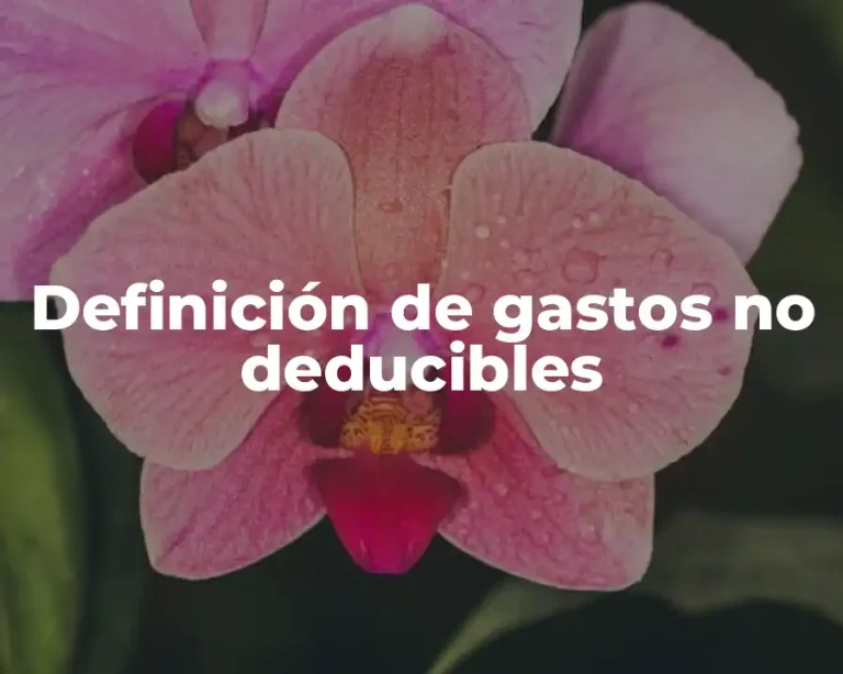 Definición de gastos no deducibles