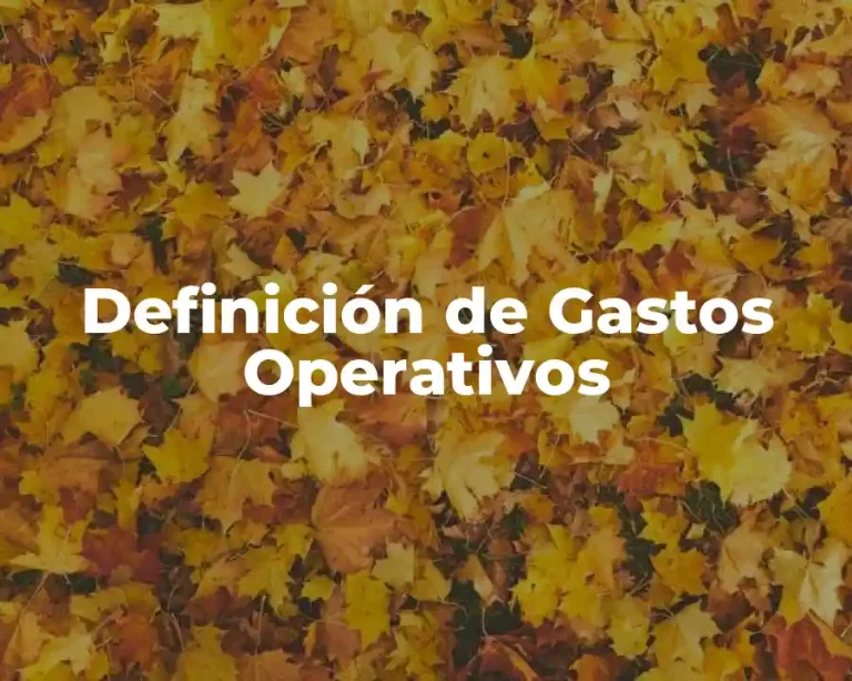 Definición de Gastos Operativos