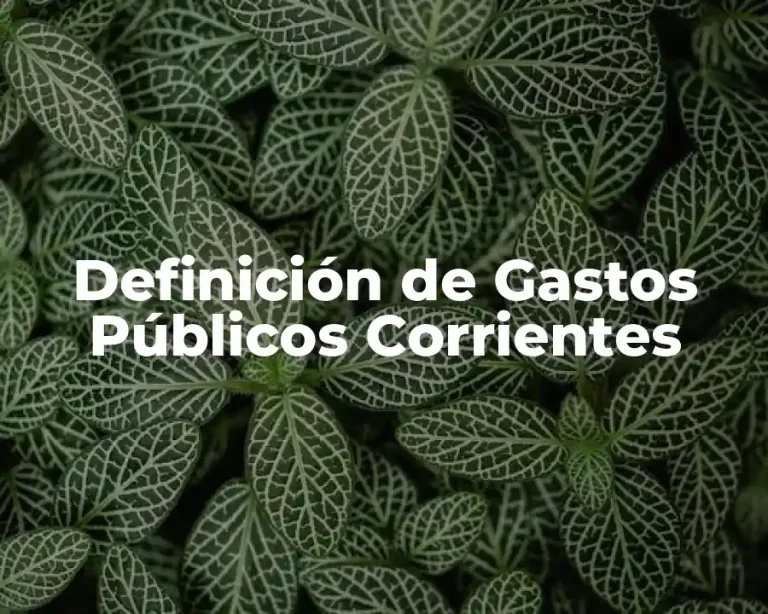Definición de Gastos Públicos Corrientes