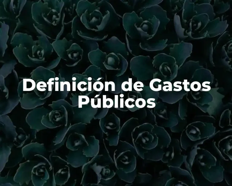 Definición de Gastos Públicos