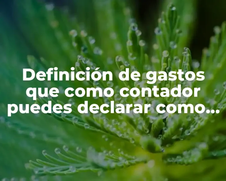 Definición de gastos que como contador puedes declarar como deducciones