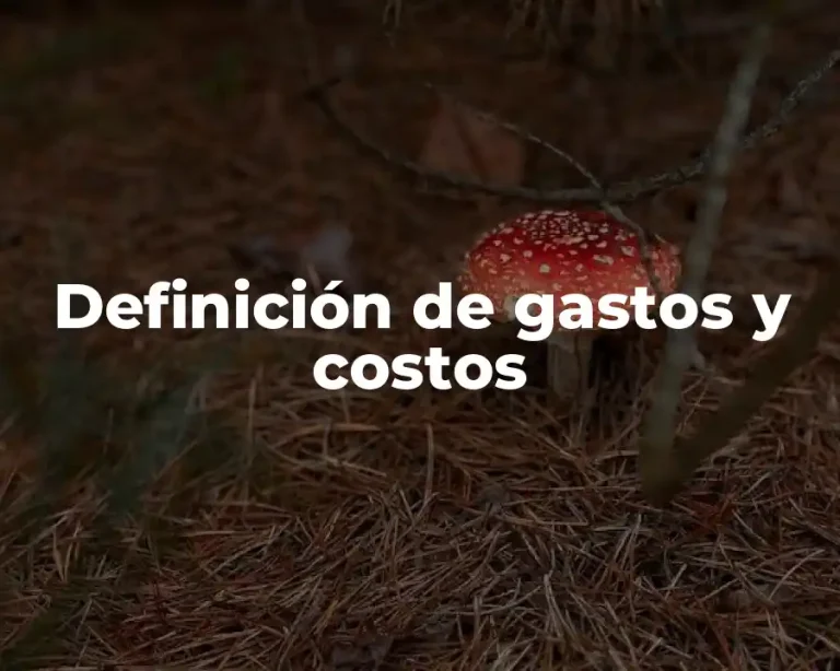 Definición de gastos y costos