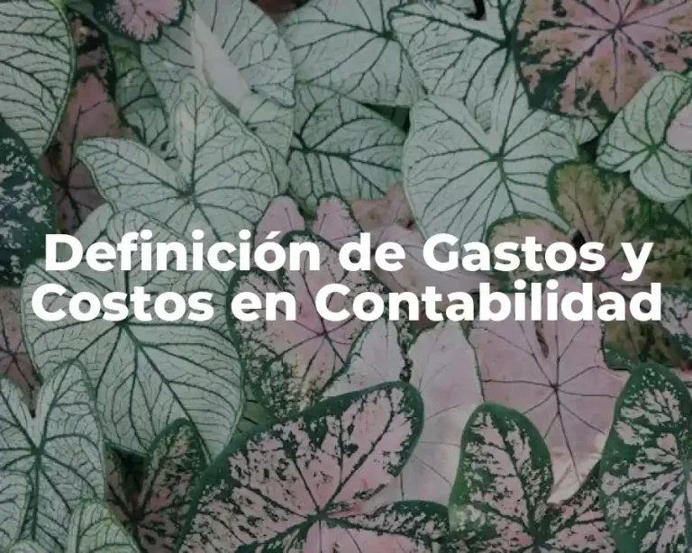Definición de Gastos y Costos en Contabilidad