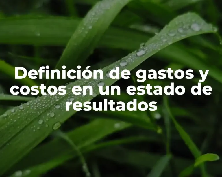 Definición de gastos y costos en un estado de resultados