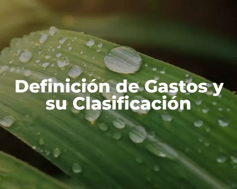 Definición de Gastos y su Clasificación