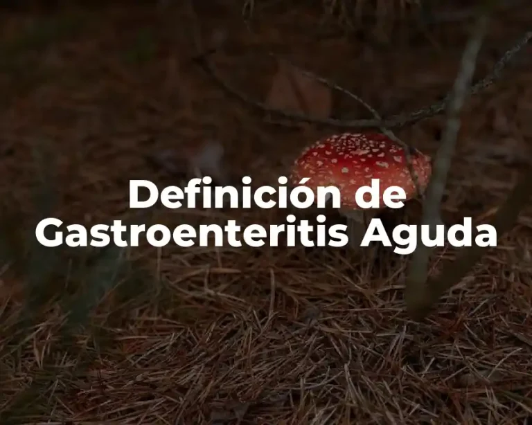 Definición de Gastroenteritis Aguda
