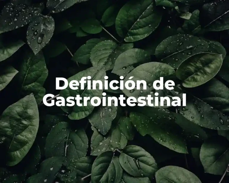Definición de Gastrointestinal