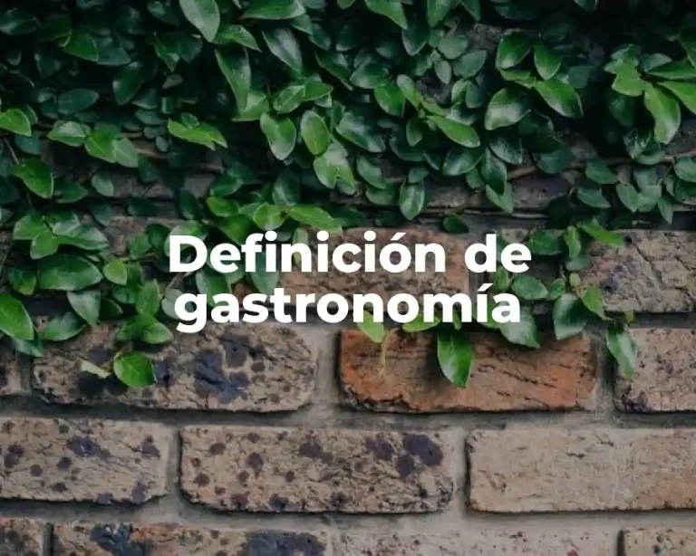 Definición de gastronomía