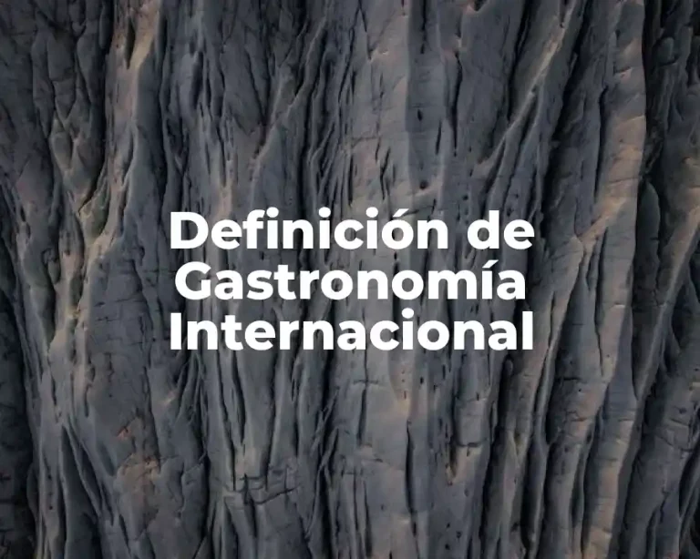 Definición de Gastronomía Internacional