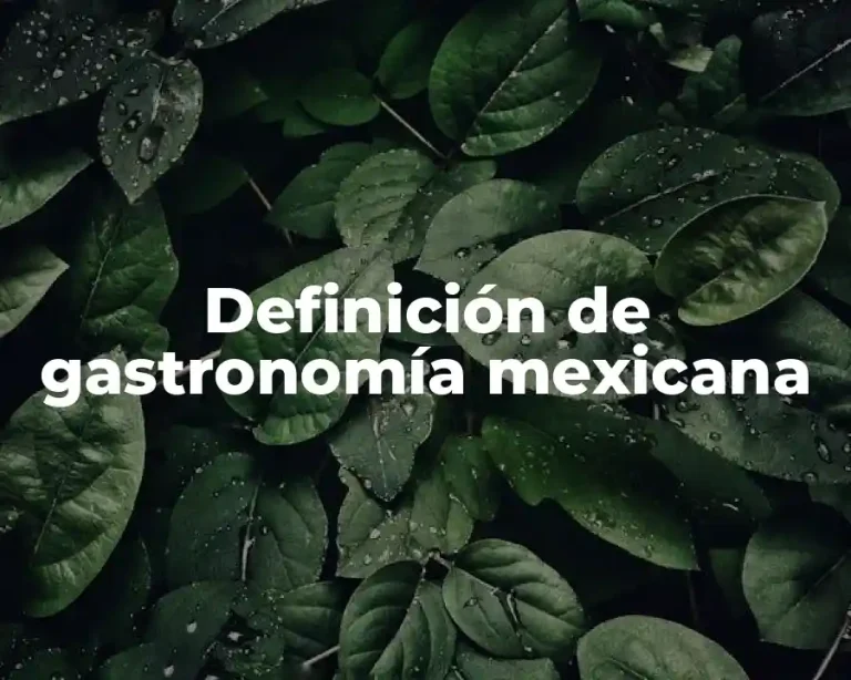 Definición de gastronomía mexicana