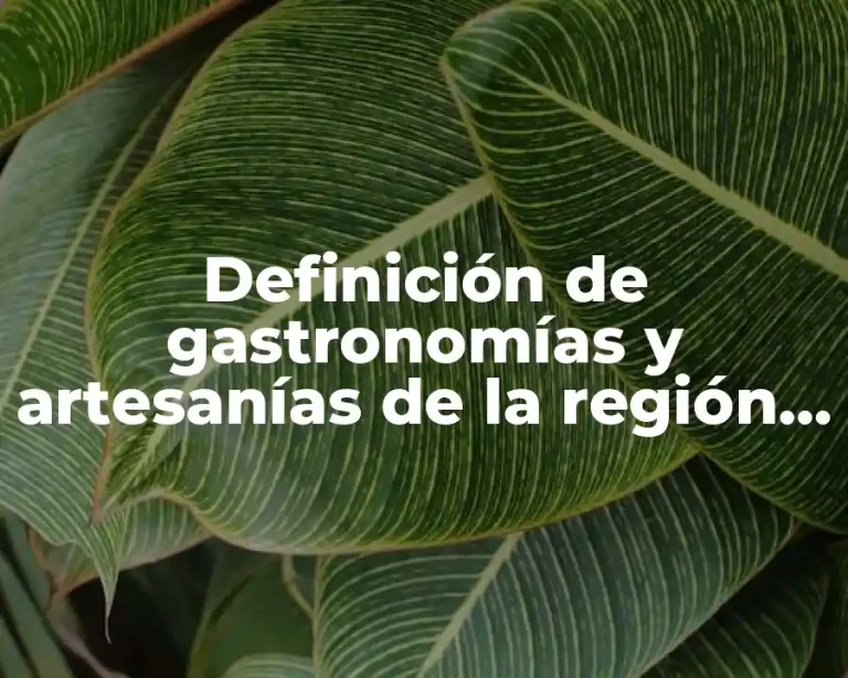 Definición de gastronomías y artesanías de la región de Toluca