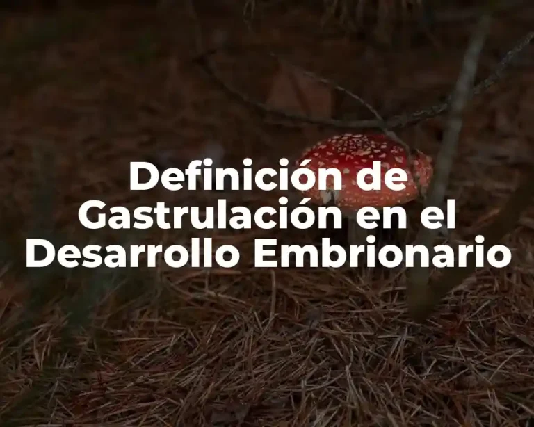 Definición de Gastrulación en el Desarrollo Embrionario