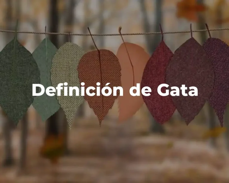 Definición de Gata