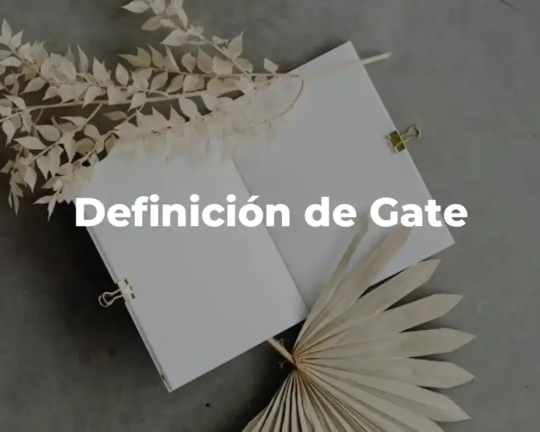 Definición de Gate