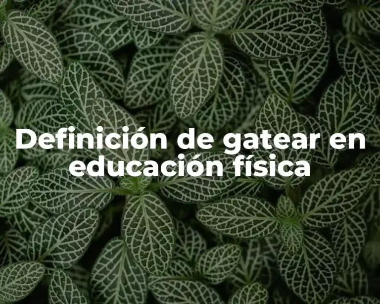 Definición de gatear en educación física