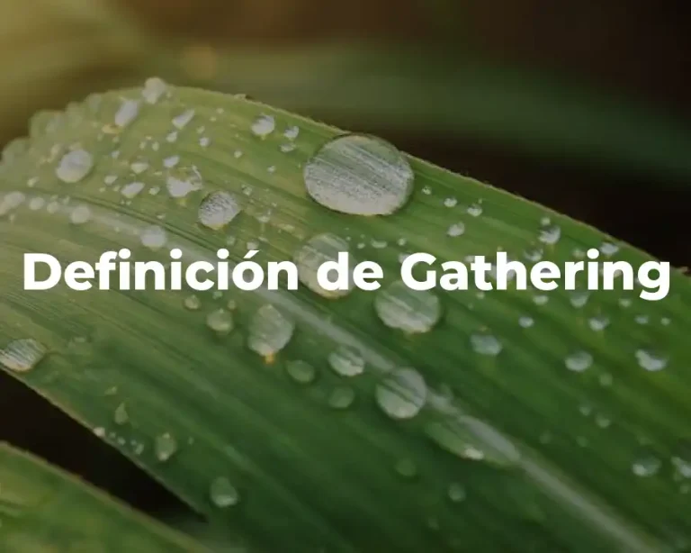 Definición de Gathering