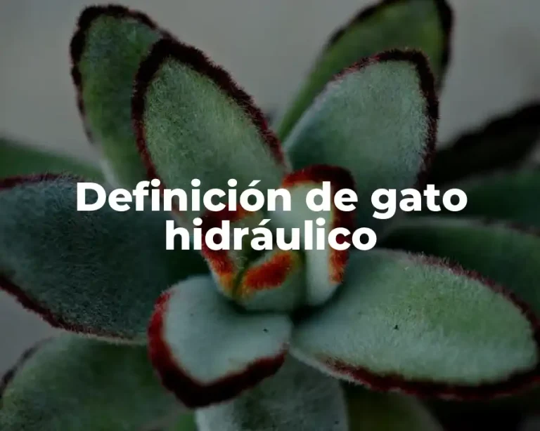 Definición de gato hidráulico