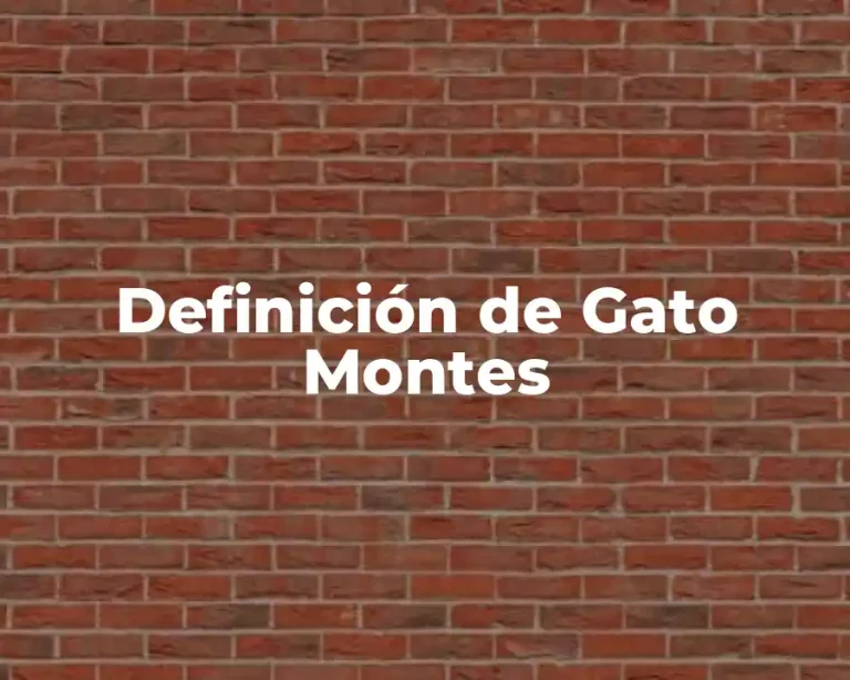 Definición de Gato Montes