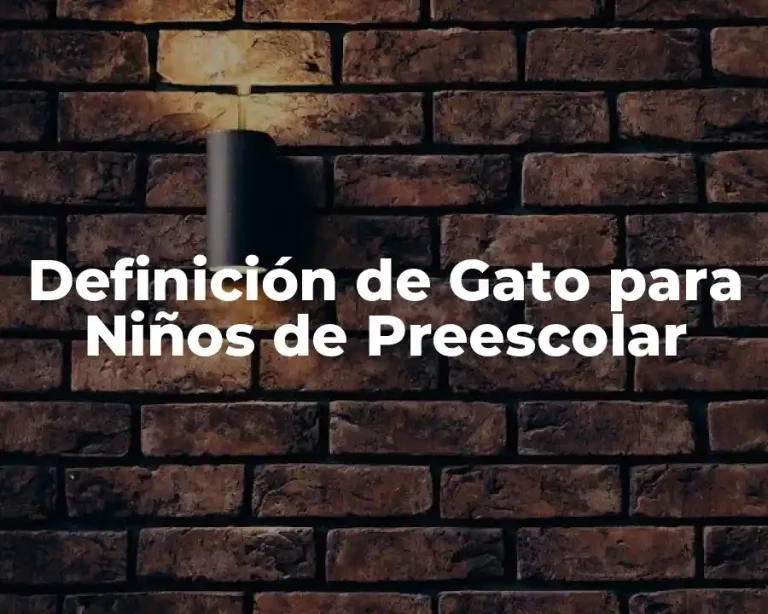 Definición de Gato para Niños de Preescolar