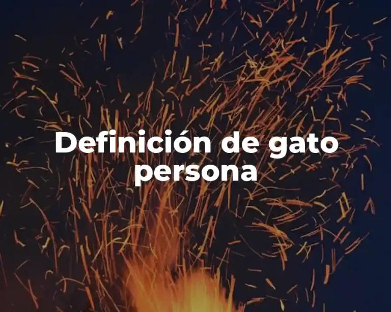 Definición de gato persona