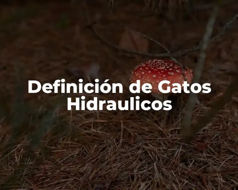 Definición de Gatos Hidraulicos