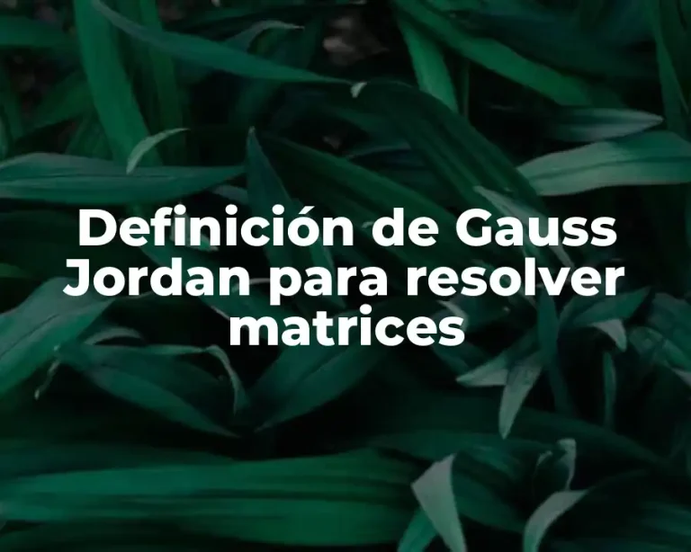 Definición de Gauss Jordan para resolver matrices