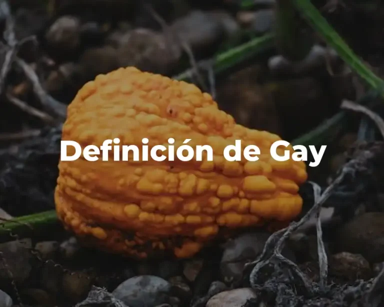 Definición de Gay