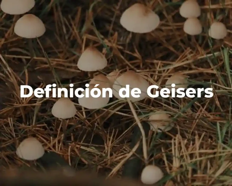 Definición de Geisers