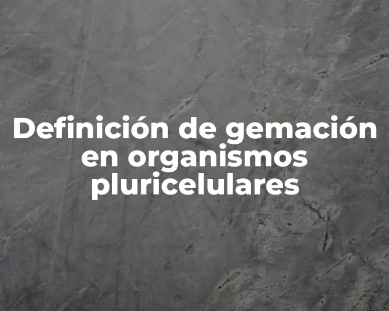 Definición de gemación en organismos pluricelulares